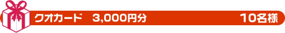 クオカード3000円分　10名様