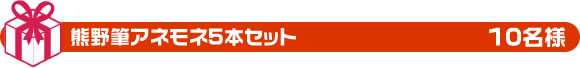 熊野筆アネモネ5本セット　10名様
