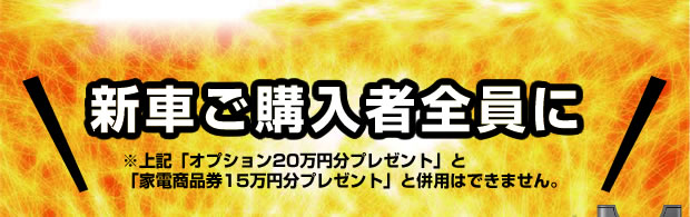 新車ご購入者全員に※※上記「オプション20万円分プレゼント」と「家電商品券15万円分プレゼント」と併用はできません。